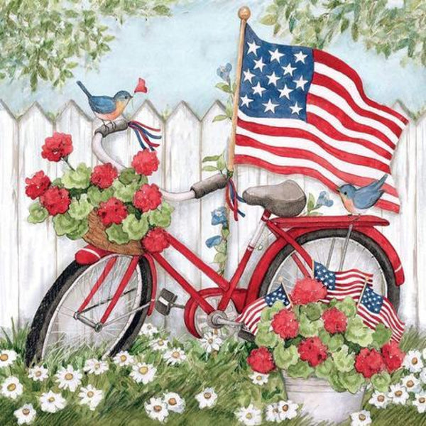 Birds On A Bike By The Flag-Dpt