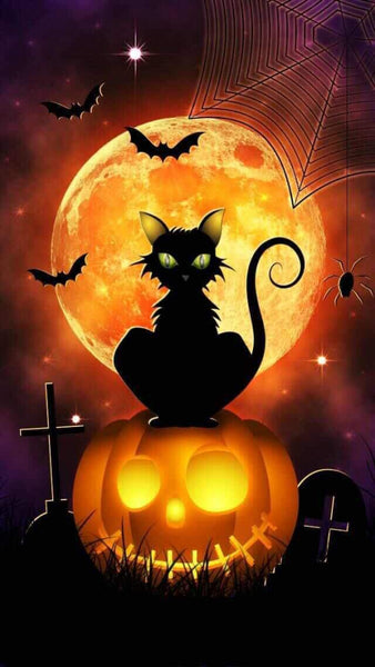 Black Cat On Jack-O-Lantern-Rts