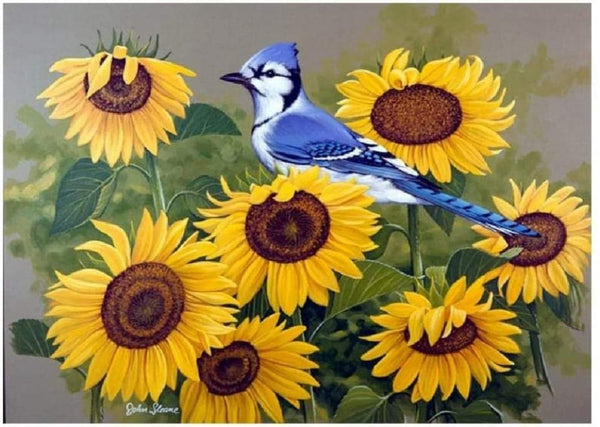 Blue Bird In Sunflowers