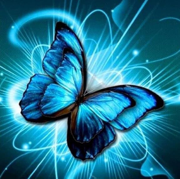 Blue Butterfly