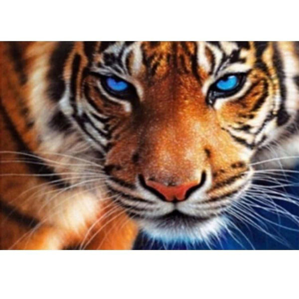 Blue Eye Tiger