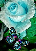 Blue Rose Butterfly-Crystal Rts