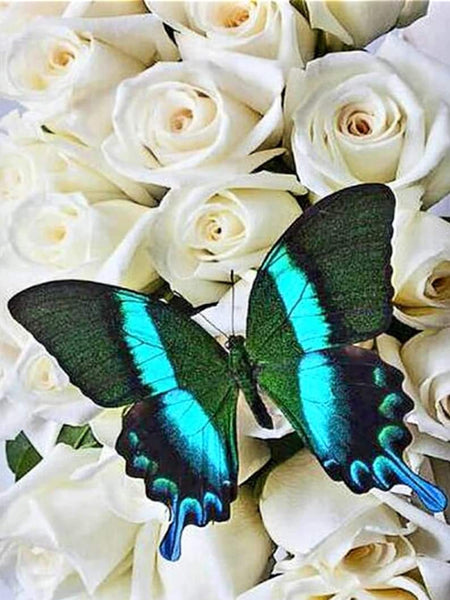 Butterfly On White Roses