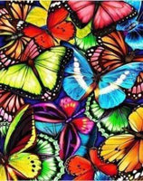 Colorful Butterflies -Crystal Rts