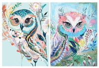 Colorful Owl Bundle