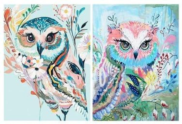 Colorful Owl Bundle