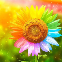 Colorful Sunflower