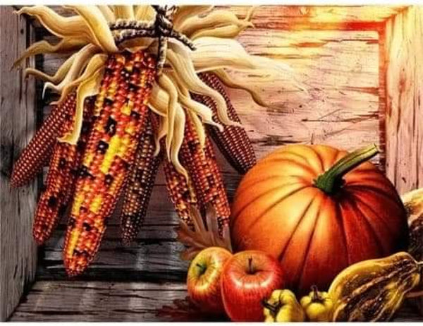 Corn And Pumpkin-Dpt