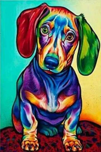 Dachshund