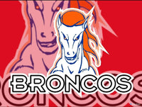 Denver Broncos By Mike Arts