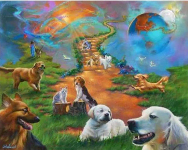 Doggie Heaven Rts