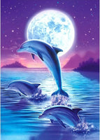 Dolphins In Moonlight