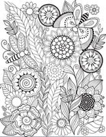 Dragonflies And Flowers-Diy Coloring Canvas