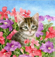 Flower Kitten