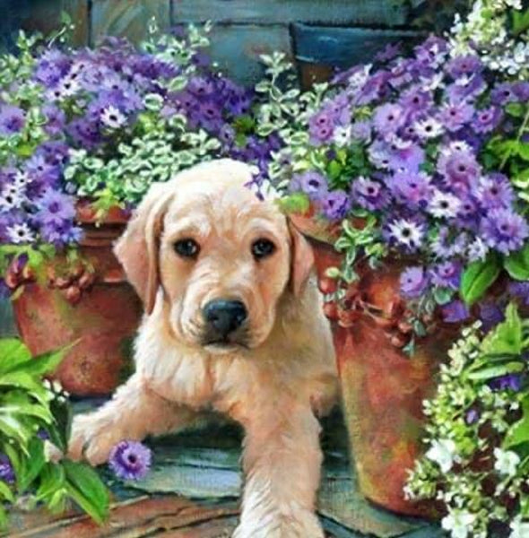 Flower Pup