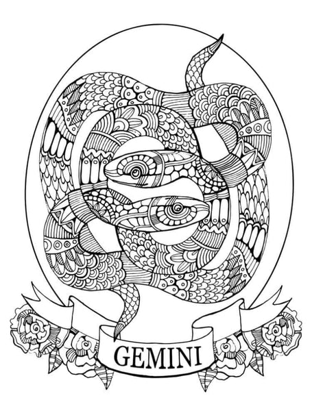 Gemini-Diy Coloring Canvas