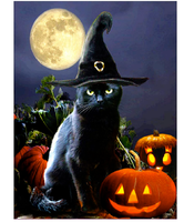 Halloween Black Cat