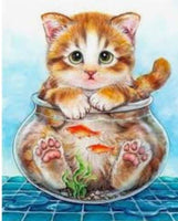 Kitty In A Fish Bowl