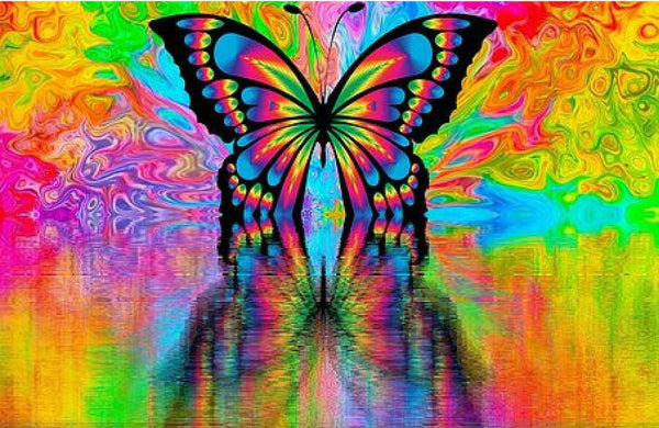 Lisa Frank Inspired Butterfly