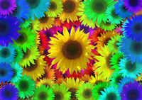 Neon Sunflower 2