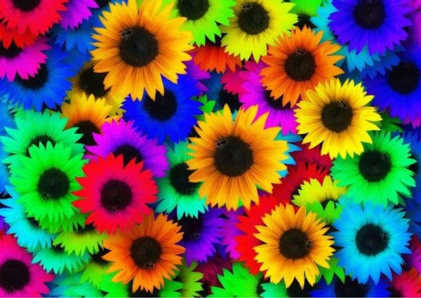 Neon Sunflowers 1