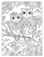 Owls-Diy Coloring Canvas