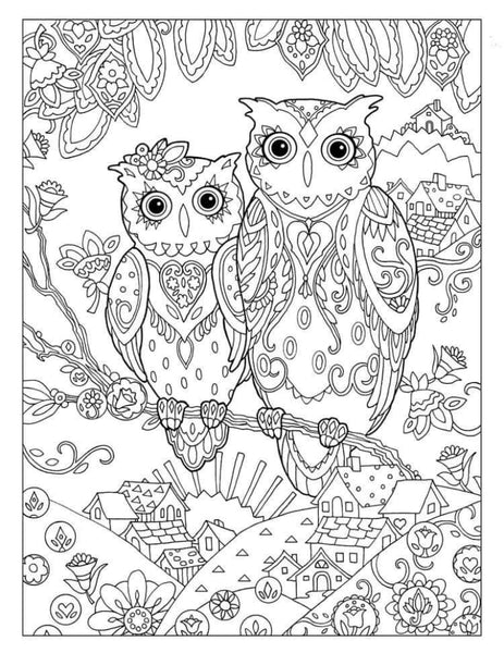 Owls-Diy Coloring Canvas