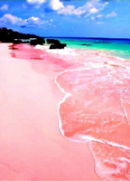 Pink Sands Beach