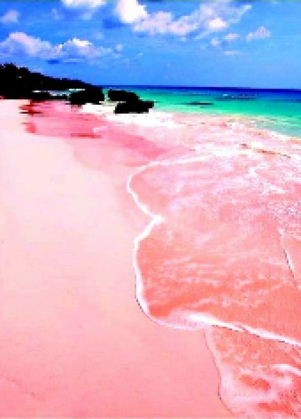 Pink Sands Beach