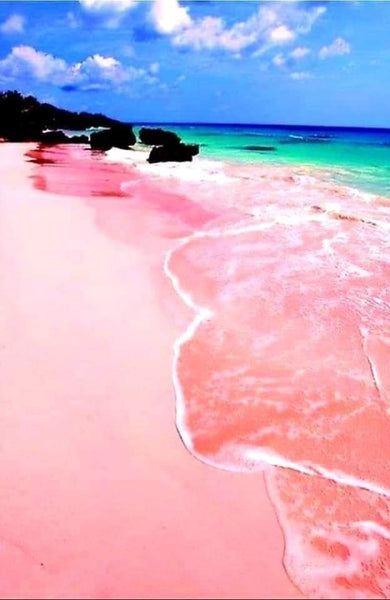 Pink Sands Beach-Crystal Rts