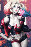 Powercon - Dc Various Harleyquinn 40X60