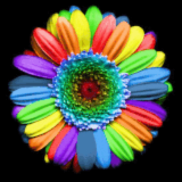 Rainbow Daisy-Crystal Drills