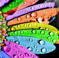 Rainbow Daisy Dew Drops -Crystal Drills