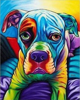 Rainbow Pitbull-Dpt