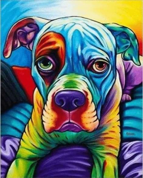 Rainbow Pitbull-Dpt