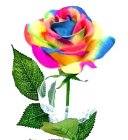 Rainbow Rose