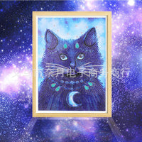 Special Crystal Drill 30X40 Galaxy Moon Cat