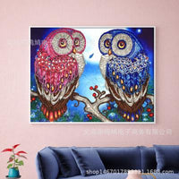 Special Crystal Drill 30X40 Owls