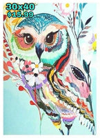 Wild Colors - Owl