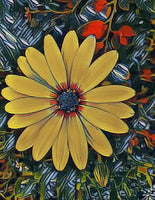 Yellowish Daisy By Rebecca Johnson