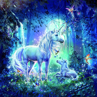 Fairies and Unicorns