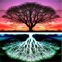 Tree Of Life Reflection