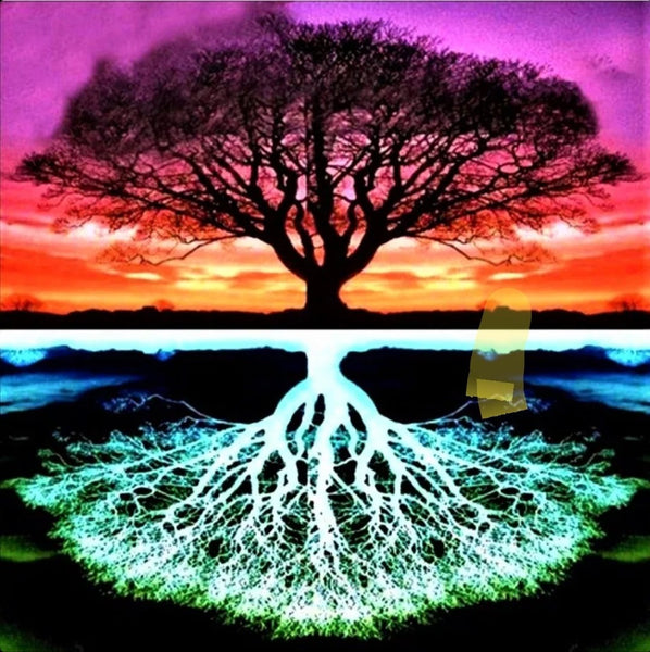 Tree Of Life Reflection Rts