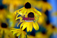 Black-Eyed Susan- By Leader Productions-Dpt