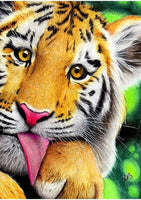 Tiger Closeup