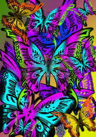 Colorful Butterfly By Skyz Artwork