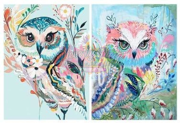 Colorful Owl Bundle