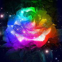 Glowing Rainbow Rose