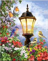 Lamp And Birds Rts