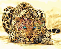 Leopard-Dpt
